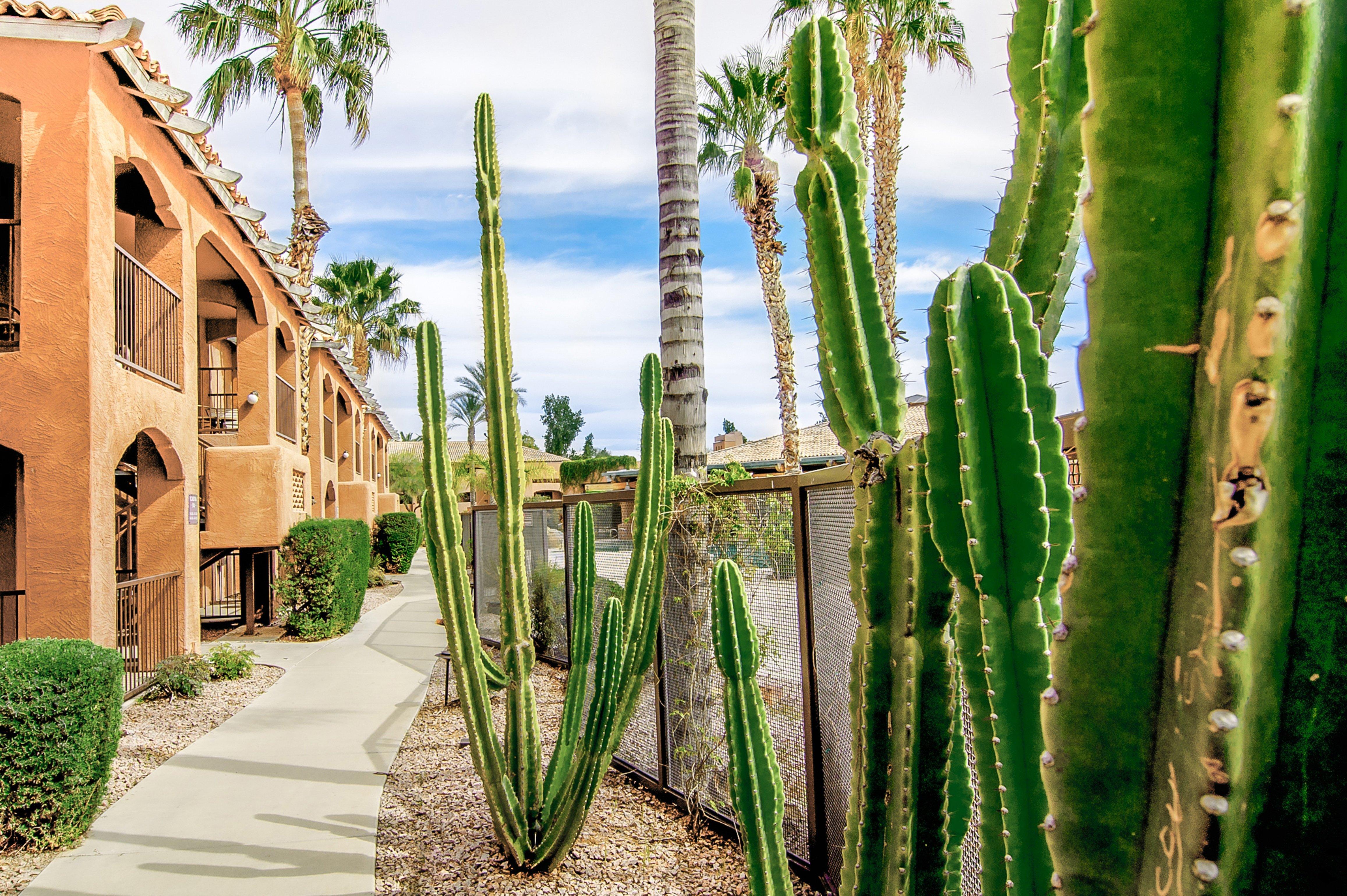 Holiday Inn Club Vacations Scottsdale Resort Buitenkant foto